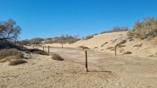 2023-GC--Mapalomas dunas-S123-137.jpg